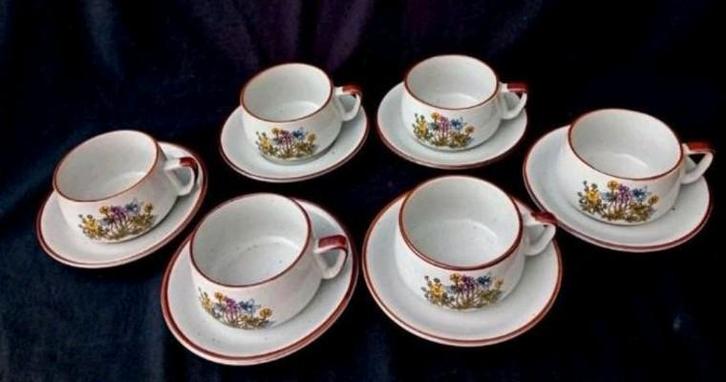 Set/6 Decor Depose kop en schotel Wild Flowers., Antiek en Kunst, Antiek | Servies los, Ophalen of Verzenden