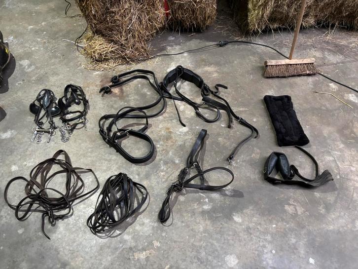 Leren ponytuig, Dieren en Toebehoren, Paarden en Pony's | Hoofdstellen en Tuigage, Gebruikt, Overige soorten, Ophalen of Verzenden