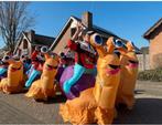 13 slakken pakken loopgroep carnaval, Kleding | Dames, Carnavalskleding en Feestkleding, Ophalen, Zo goed als nieuw, Carnaval