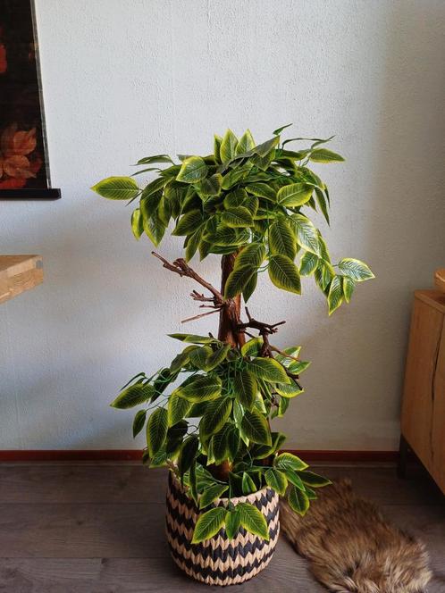 Prachtige kunstplant nieuw, Huis en Inrichting, Woonaccessoires | Kunstplanten en Kunstbloemen, Nieuw, Binnen, Buiten, Ophalen of Verzenden