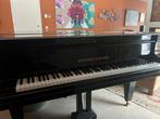 Vleugel Grotrian Steinweg 200, Ophalen, Zo goed als nieuw, Zwart, Vleugel