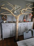 java boom, Ophalen, Gebruikt, Overige typen