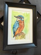 Ijsvogel, Ophalen of Verzenden
