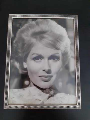 Vintage fotolijst rechthoekig zilverkleurige rand *eureka* beschikbaar voor biedingen