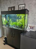 Juwel Rio 125 aquarium met kast, Ophalen, Gebruikt, Leeg aquarium