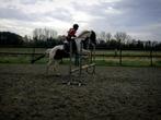 Verzorgster aangeboden, Dieren en Toebehoren, Paarden en Pony's | Verzorgingsproducten, Ophalen of Verzenden, Nieuw