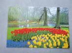 Lisse, Keukenhof/tulpen, Verzenden, 1980 tot heden, Ongelopen, Noord-Brabant