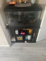 Aquarium superfish 100, Dieren en Toebehoren, Ophalen, Gebruikt, Terrarium of Paludarium