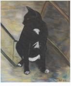 Freriks, Ph. & Lili - De katten van Lili (2009), Boeken, Ophalen of Verzenden, Nieuw