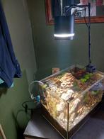 Aquarium ledverlichting., Dieren en Toebehoren, Ophalen