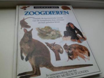 Zoogdieren in samenwerking met National History Museum Londe beschikbaar voor biedingen