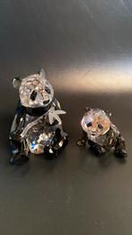 Swarovski panda met jong, Verzamelen, Swarovski, Ophalen of Verzenden, Zo goed als nieuw, Figuurtje