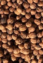 Walnoten oogst 2025, Ophalen