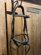 Nieuw supermooi classic hoofdstel maat Cob, Dieren en Toebehoren, Paarden en Pony's | Hoofdstellen en Tuigage, Ophalen of Verzenden