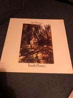Van Morrison-Tupelo Honey, Cd's en Dvd's, Vinyl | Rock, Ophalen of Verzenden, Zo goed als nieuw, Poprock