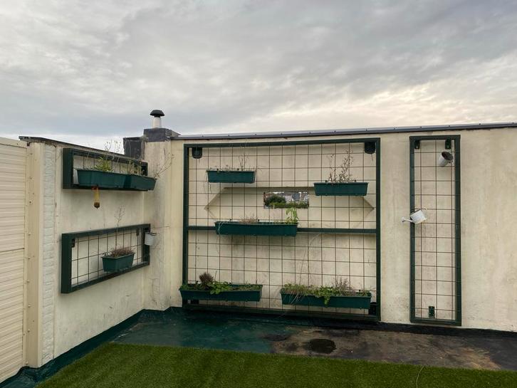 Verticale Tuin / Groene Muur, Tuin en Terras, Tuinwanddecoratie, Nieuw, Ophalen