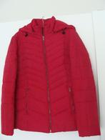 winterjas dames maat 40 helemaal nieuw, niet gratis, Ophalen of Verzenden, Nieuw, Maat 38/40 (M), Rood