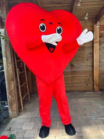 kado aanbieden op een speciale manier door VIP mascotte pak beschikbaar voor biedingen