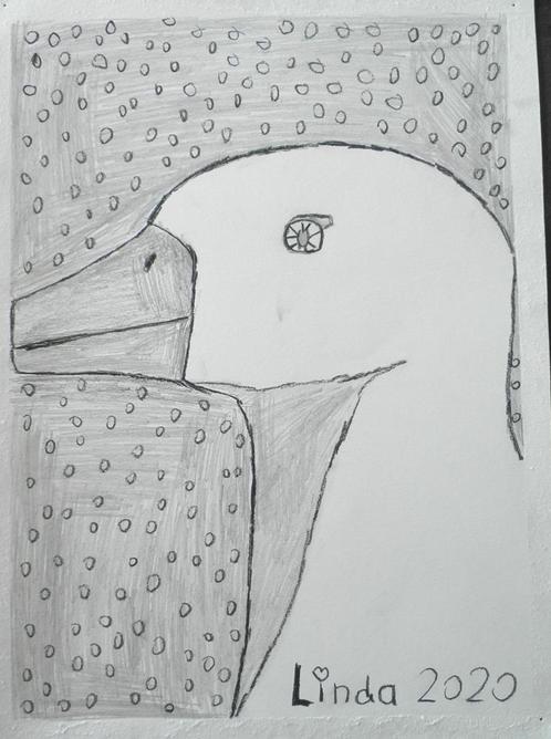 tekening gans 20, Antiek en Kunst, Kunst | Tekeningen en Foto's, Ophalen of Verzenden