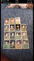 Holland Sport panini vanderhout 1970-1971, Ophalen of Verzenden, Zo goed als nieuw