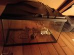 Aquarium - terrarium 55 liter, Ophalen, Zo goed als nieuw, Leeg aquarium