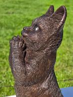 BRONZEN KAT / POES / KITTEN / TUINBEELD / BRONS, Dierenbeeld, Nieuw, Info@huisentuindecoratiemarie.nl, Huis en tuin decoratie marie
