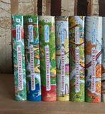 De Waanzinnige Boomhut boeken, Boeken, Kinderboeken | Jeugd | 10 tot 12 jaar, Non-fictie, Ophalen of Verzenden, Zo goed als nieuw