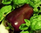 Paprika Chocolate, Ophalen of Verzenden, Voorjaar, Volle zon, Zaad