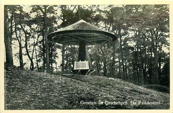 (388-359-043) Driebergen-Rijsenburg De Paddenstoel beschikbaar voor biedingen