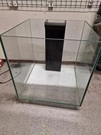 Rimless aquarium 55*55*55 cm met overloop NIEUW, Ophalen, Nieuw, Leeg aquarium