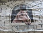 Leuke paarden dekbedhoes + dekbed gratis., Ophalen of Verzenden, Gebruikt, Meisje, Dekbedovertrek