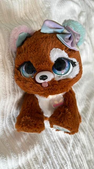 Present pets fancy puppy beschikbaar voor biedingen