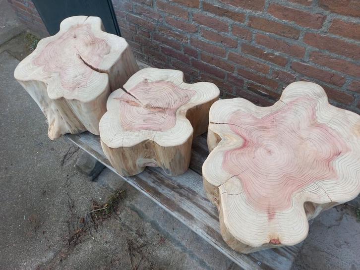 sequoia hout redwood boomschijven Boomdelen boomdoorsnee, Huis en Inrichting, Woonaccessoires | Overige, Ophalen of Verzenden