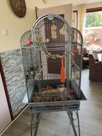 Grote papagaaien kooi., Ophalen, Zo goed als nieuw, Metaal, Vogelkooi