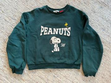 Leuke Snoopy trui xs 146-152 groen beschikbaar voor biedingen