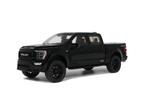 Shelby Ford F-150 Centennial Edition GT Spirit, Ophalen of Verzenden, Nieuw, Auto, Overige merken