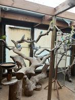 Verschillende soorten parkieten, Ophalen of Verzenden, Zo goed als nieuw, Kooi-accessoires