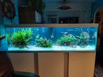 Akvastabil  200 x60x60, Ophalen of Verzenden, Verlichting of Verwarming