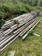 Partij Douglas Palen, Ophalen, Zo goed als nieuw, 250 cm of meer, Palen