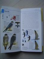 Zakgids  roofvogels uilen  vogelgids, Boeken, Natuur, Verzenden, Zo goed als nieuw