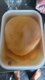 Kombucha scoby, Diversen, Ophalen