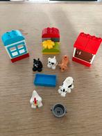 Duplo boerderijdierenset, Ophalen of Verzenden, Zo goed als nieuw, Duplo