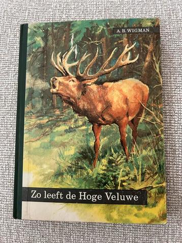 Zo leeft de Hoge Veluwe - A.B. Wigman beschikbaar voor biedingen