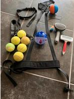 Hondenriemen, borstels, speeltjes in 1 koop, Dieren en Toebehoren, Hondenspeelgoed, Ophalen of Verzenden, Zo goed als nieuw