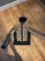 Goldbergh jas 38, Ophalen of Verzenden, Zo goed als nieuw, Maat 38/40 (M)