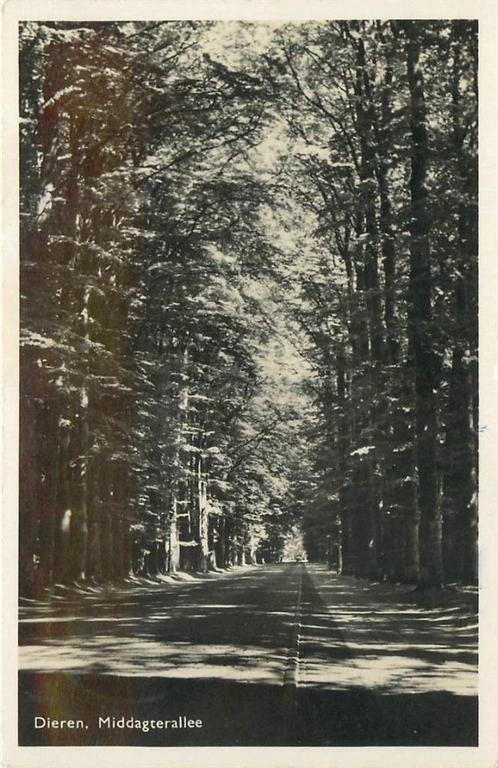 (387-247-021) Dieren Middagterallee, Verzamelen, Ansichtkaarten | Nederland, Gelderland, Verzenden