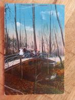 Winschoten Boschgezicht, Ophalen of Verzenden, 1920 tot 1940, Gelopen, Groningen