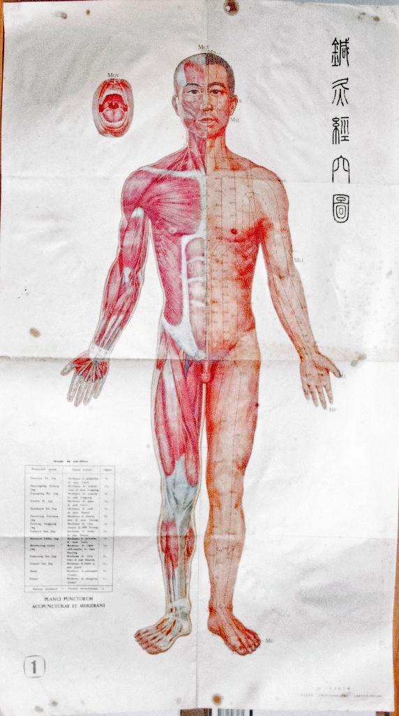 anatomische afbeeldingen 4 stuks, Boeken, Wetenschap, Gelezen, Ophalen of Verzenden