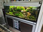 Ferplast Aquarium 160 x 60 x 60 cm, Dieren en Toebehoren, Ophalen, Gebruikt, Gevuld zoetwateraquarium