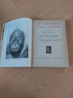 Met Hagenbeck in het oerwoud- Wilhelm Munnicke, Ophalen of Verzenden, Zo goed als nieuw
